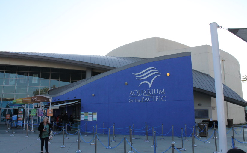 Aquarium of the Pacific Long Beach – A Day By The Sea, Part 2