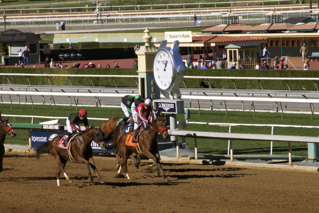 Horses crossing the finish line. Hopefully the ones in front are the ones with the funny names I picked.