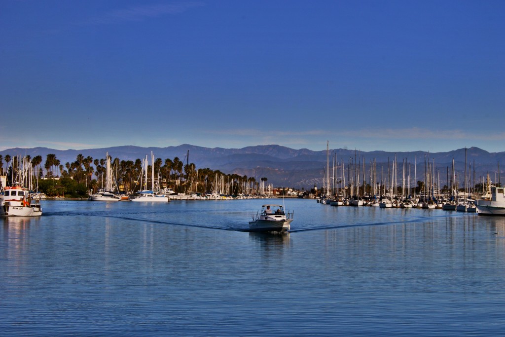 Heading out to see what kind of big-ass creatures we can see. 