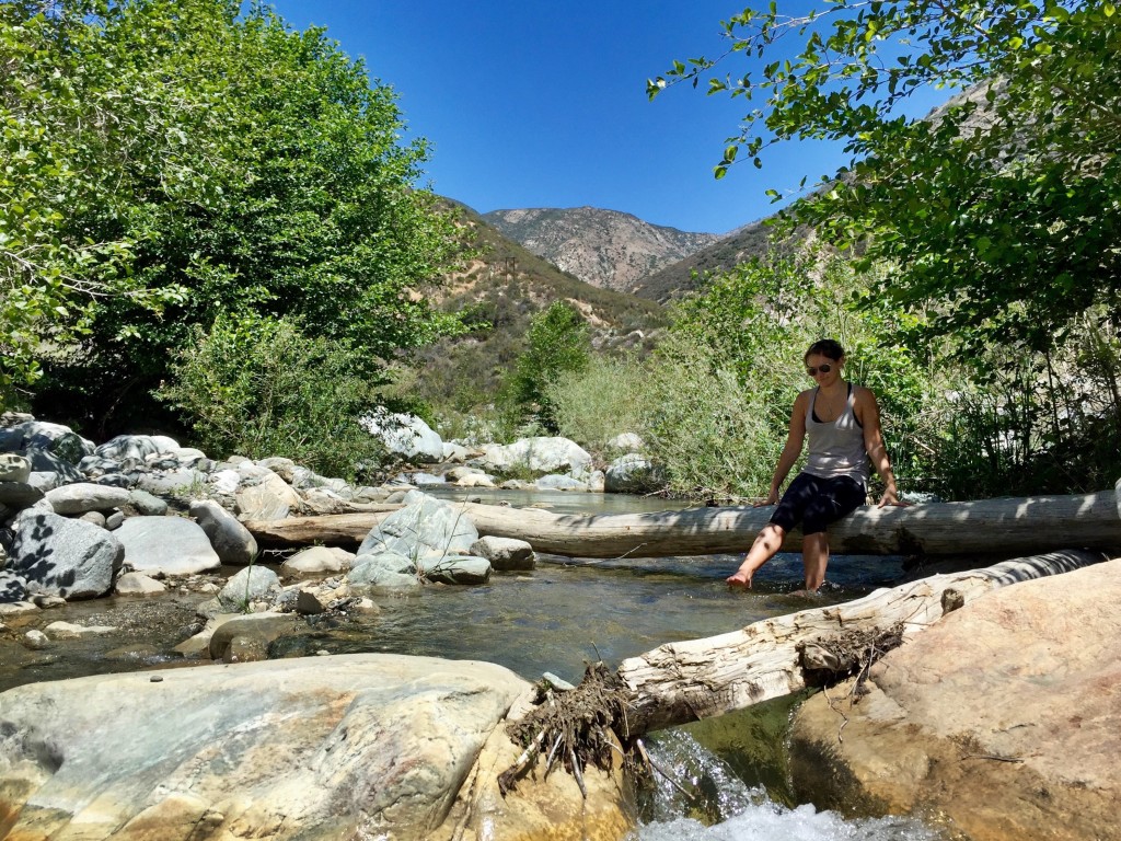 HDRtist HDR - http://www.ohanaware.com/hdrtist/