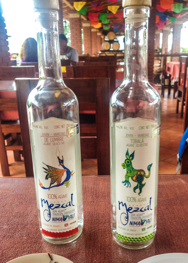 mezcaloaxaca-1