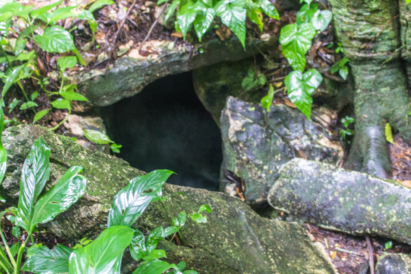 Rushing water in enclosed space with no visible exits. In we go? 