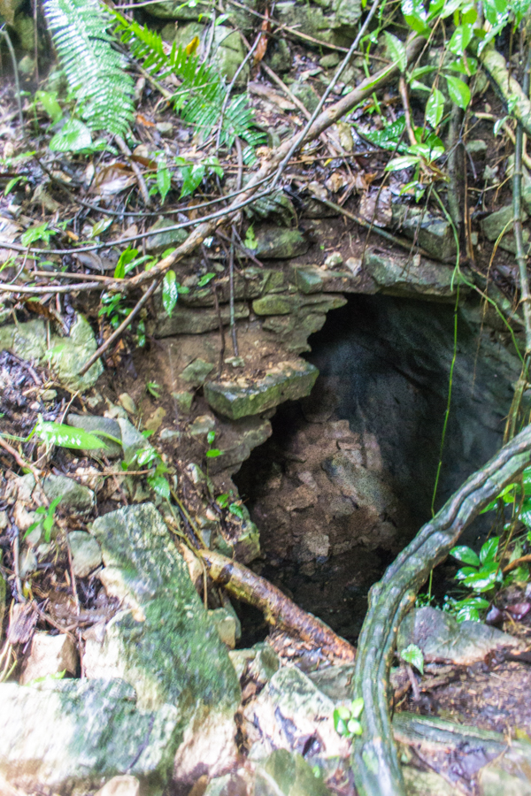 An old Mayan building that the jungle has reclaimed.