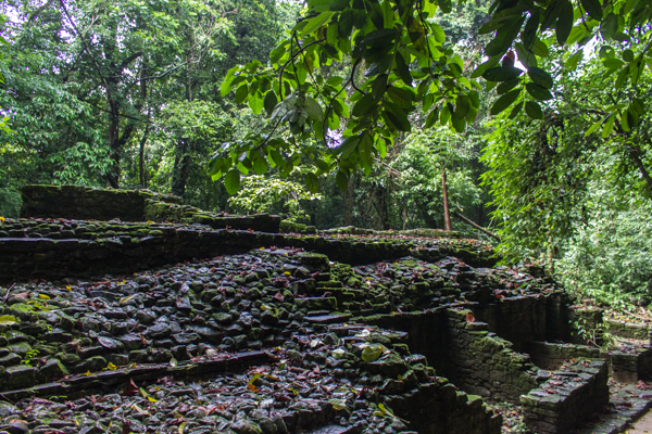 palenque-3