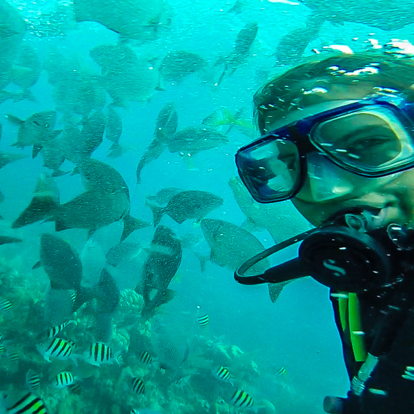 Sharks, Turtles, and Shattered Expectations Diving The Blue Hole in Belize