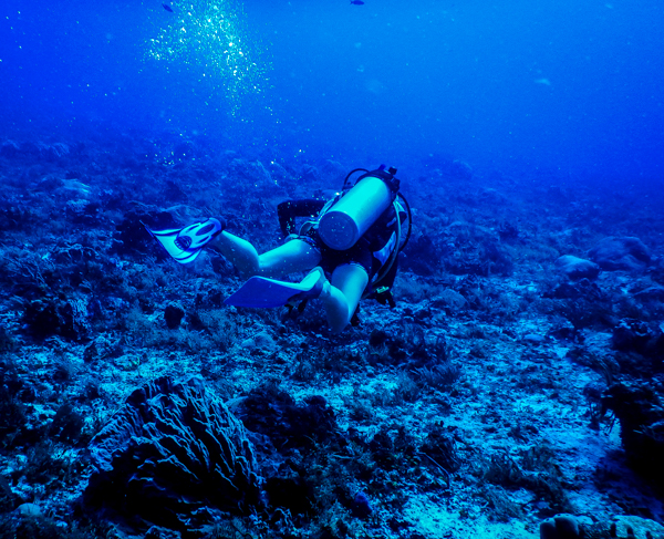 padiadvanceddiving-21