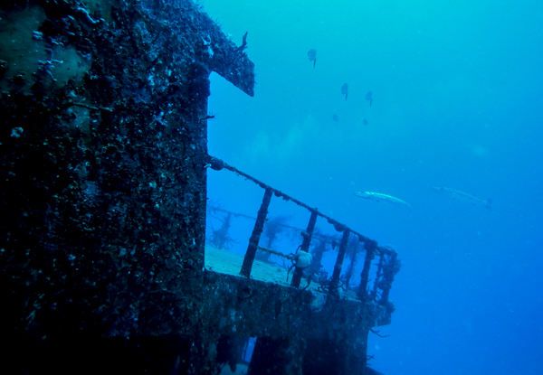 Oooooooohhhhh.....Barracuda. 