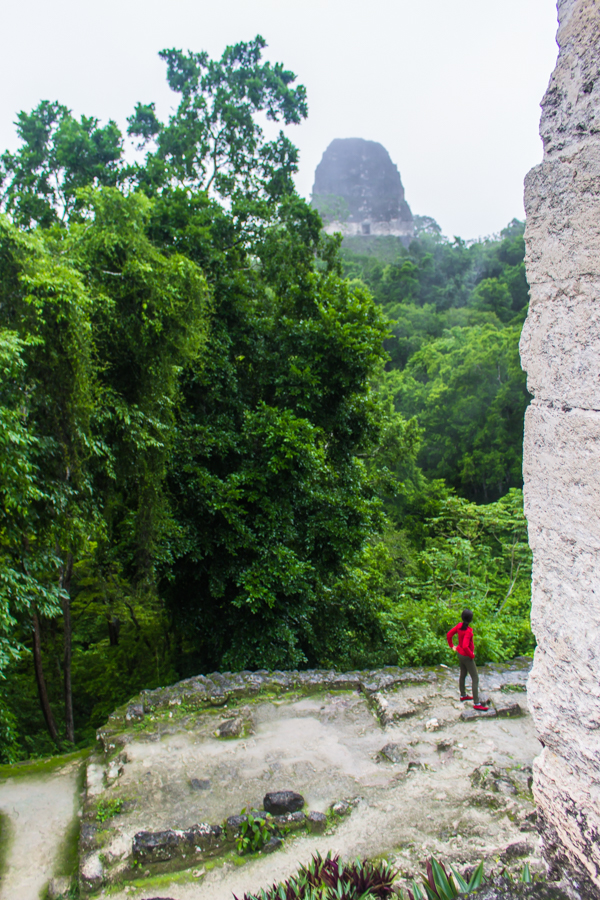 Exploring the Tikal ruins in Guatemala. It's so hard to capture the scale of these buildings on camera, but this shot does a decent job illustrating the towers looming out of the jungle!