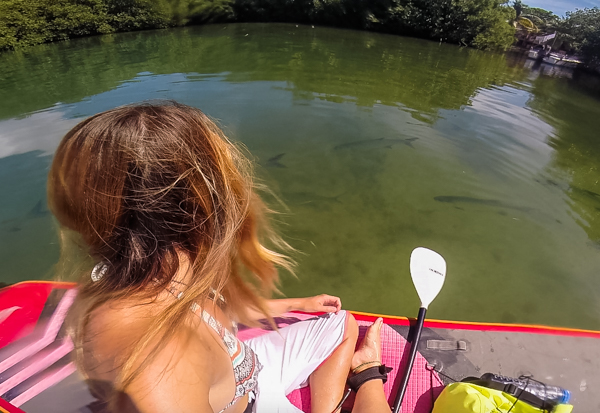 Paddleboarding around Caye Caulker, I ran into a school of tarpon that loved circling my boat! Excuse the windswept hair, I can't pull off the beach waves look. 