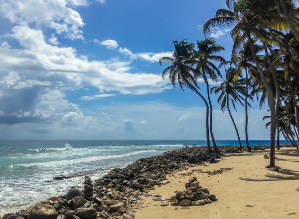 This was taken from the campgrounds on Half Moon Caye. I would LOVE to come back here and camp - imagine the stars you'd see so far away from the mainland!
