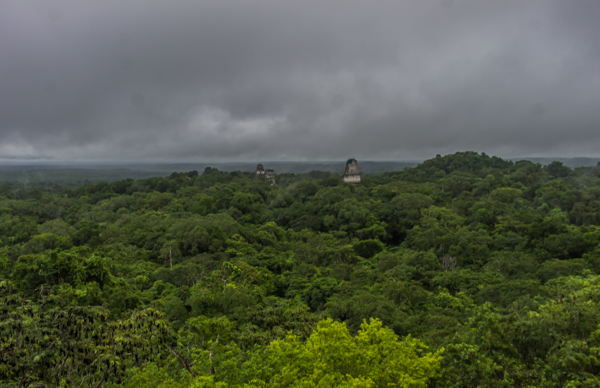 tikal-7