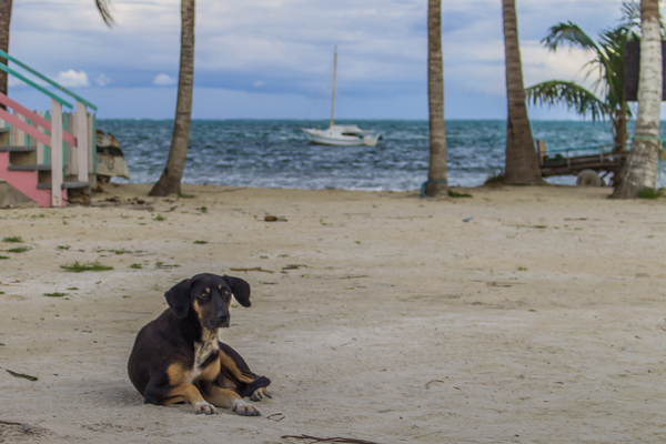 It's a tough life for the residents of Caye Caulker.