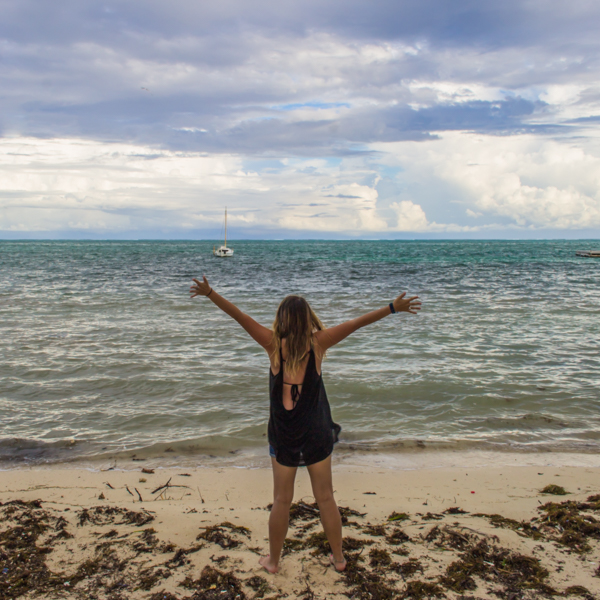 Finding my Pace November 2015 In Review