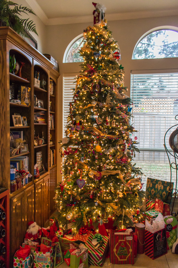 Our family Christmas tree!