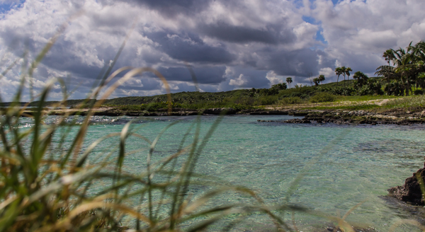 The freshwater cove near Caleta Tankah.