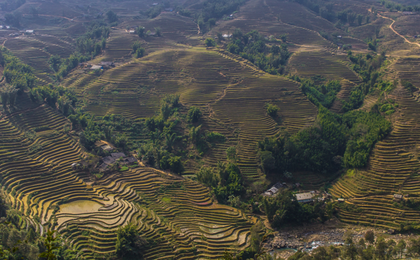If you're in to rice terraces, Sapa does NOT disappoint!