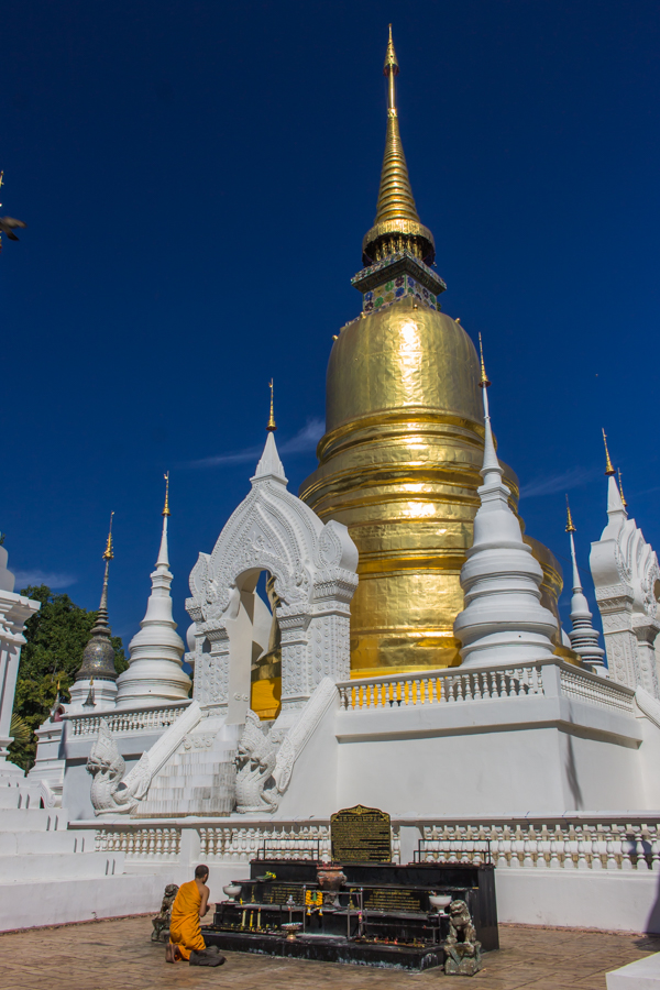 Monk praying at Wat Suan Dok. 