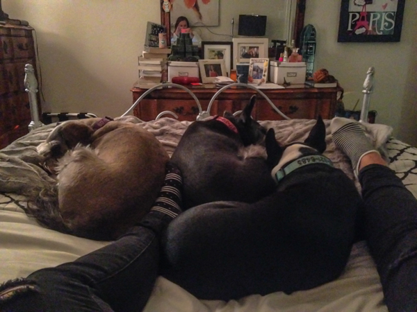 Where I did most of my reading. 