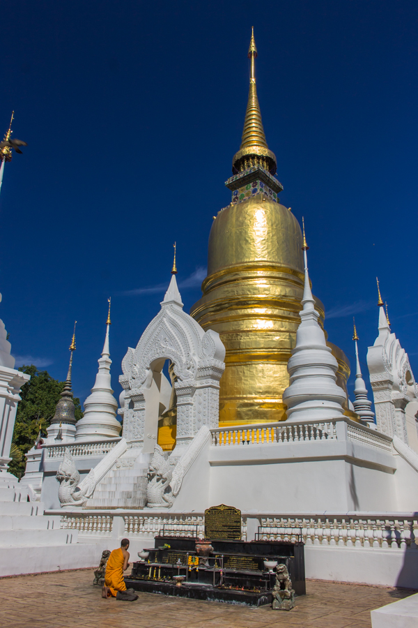 A monk praying at Wat Suan Dok. 