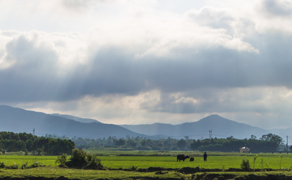 friendswithlocals-1-6