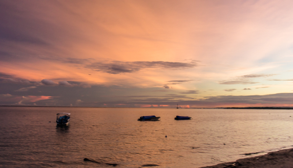 I mean seriously, what ARE these colors? Amazing. 