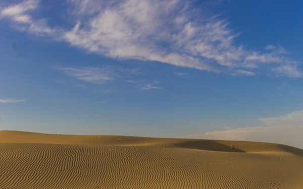 From our campsite in the Thar Desert. 