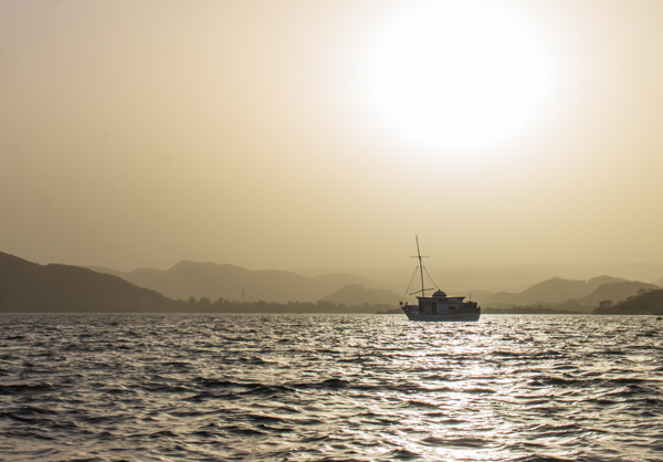 The sun seems to shine a little differently in India - a hazy, warm light that fills you up from top to toes. Sounds ridiculous, I know, but it's how I felt. 
