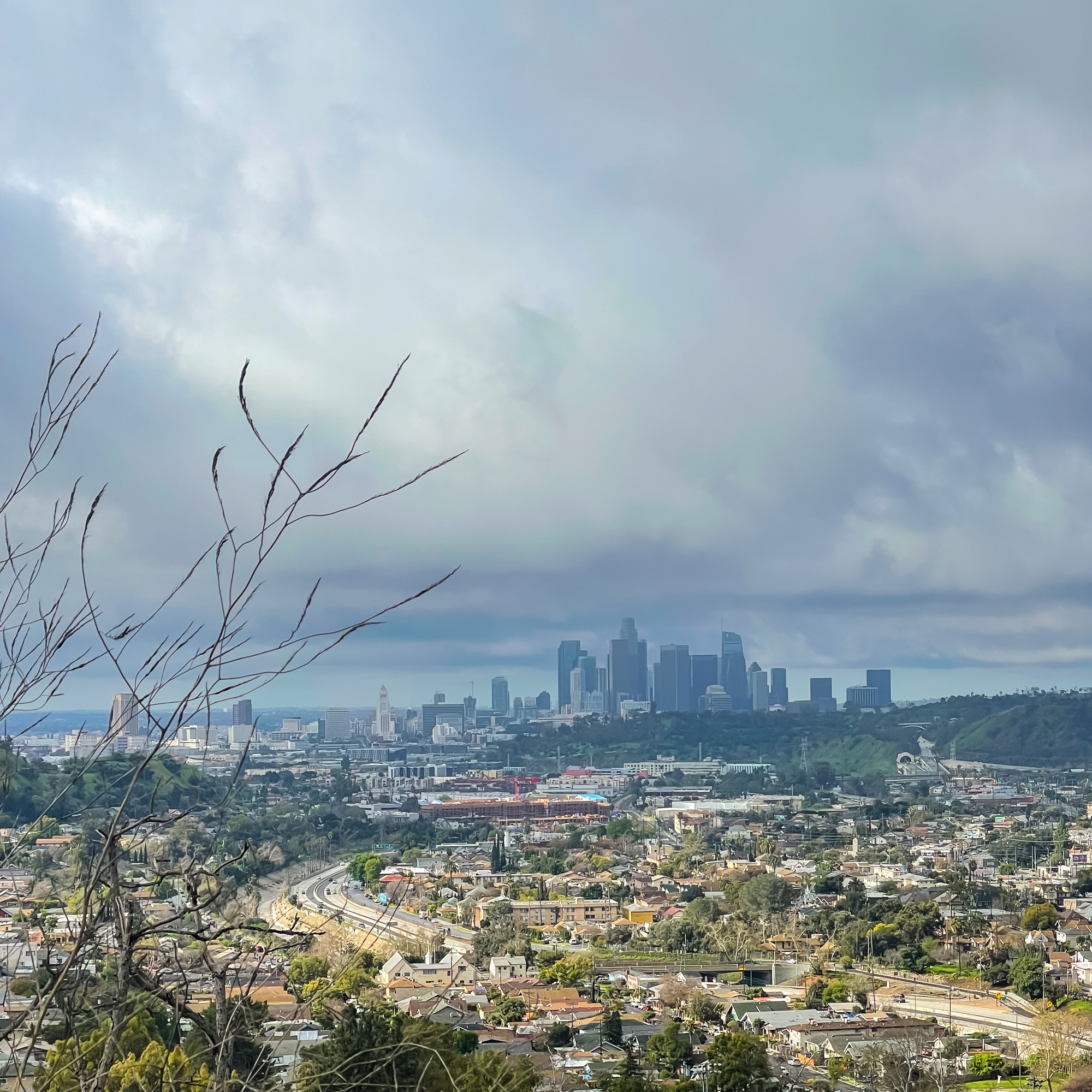 Sunday Snaps: A Shift to Real Life