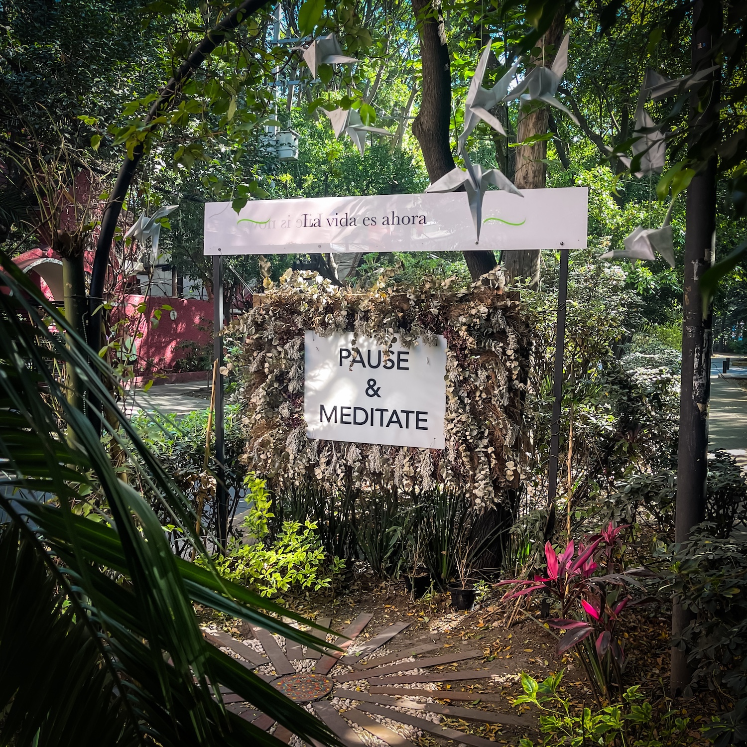 Sunday Snaps: La Vida es Ahora